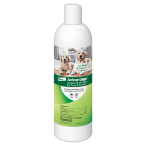 Anti-Flea & Tick Shampoo